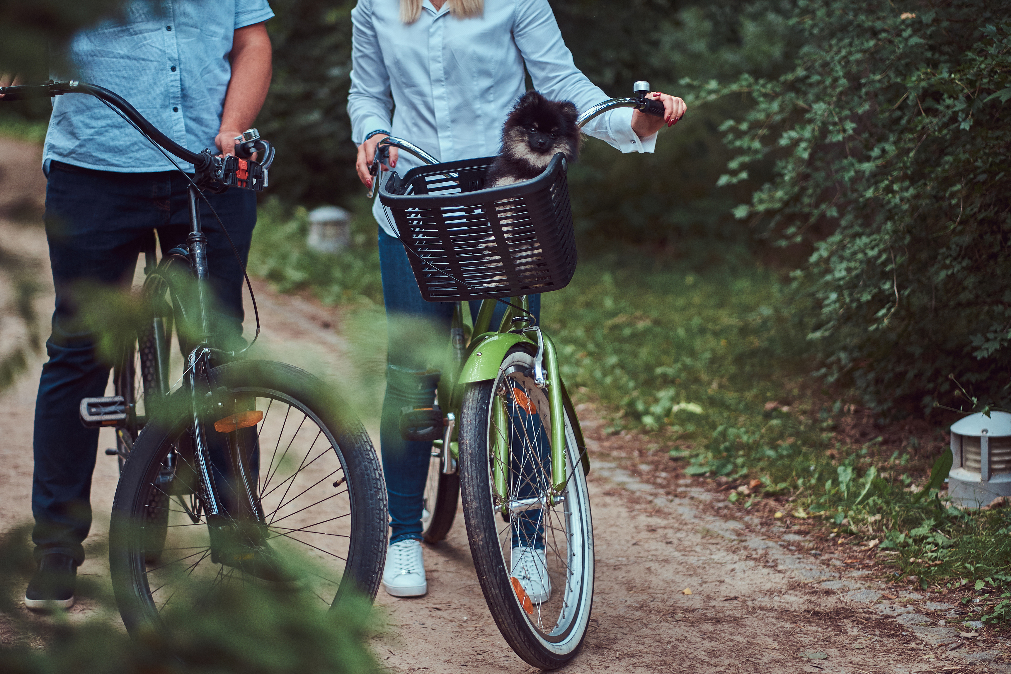 Fietsers op een landelijke Nederlandse route